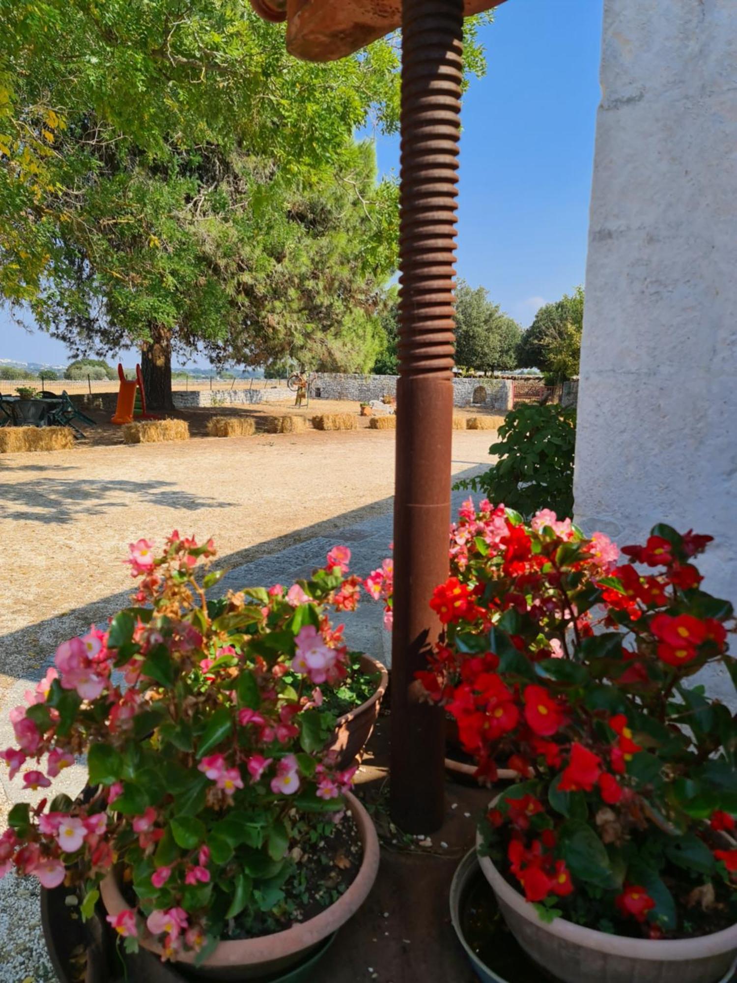 Masseria Gianca 치스테르니노 외부 사진