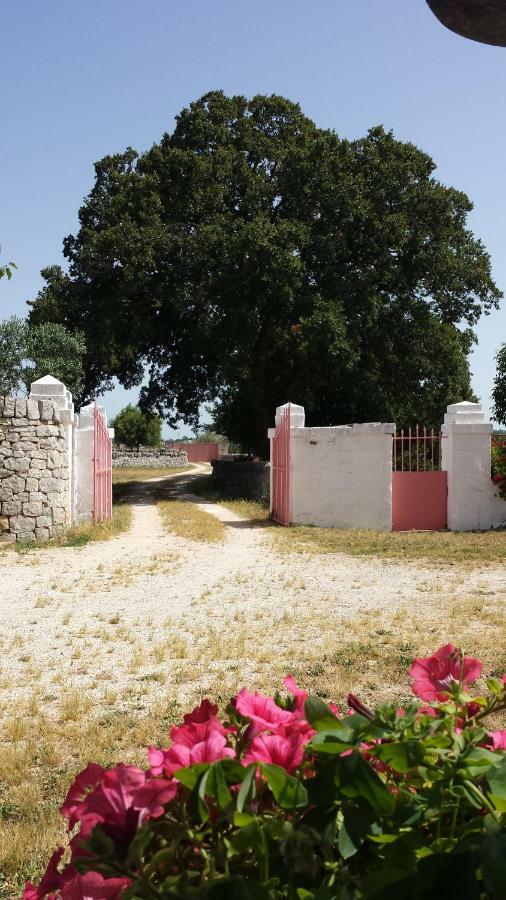 Masseria Gianca 치스테르니노 외부 사진