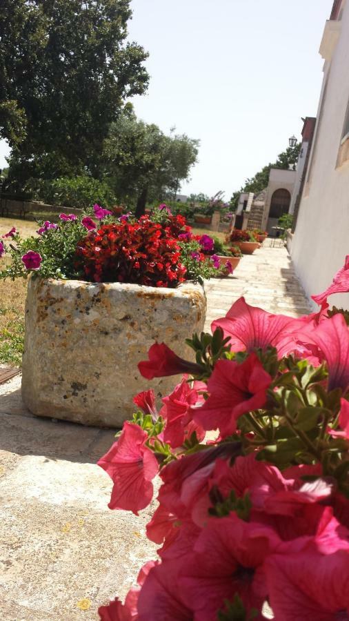 Masseria Gianca 치스테르니노 외부 사진